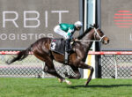 Horse and rider in mid-sprint on a racetrack; jockey in green-and-white silks sits forward atop a dark brown horse with a number 3 saddlecloth, Ladbrokes barrier in the background.