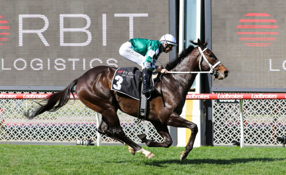 Horse and rider in mid-sprint on a racetrack; jockey in green-and-white silks sits forward atop a dark brown horse with a number 3 saddlecloth, Ladbrokes barrier in the background.