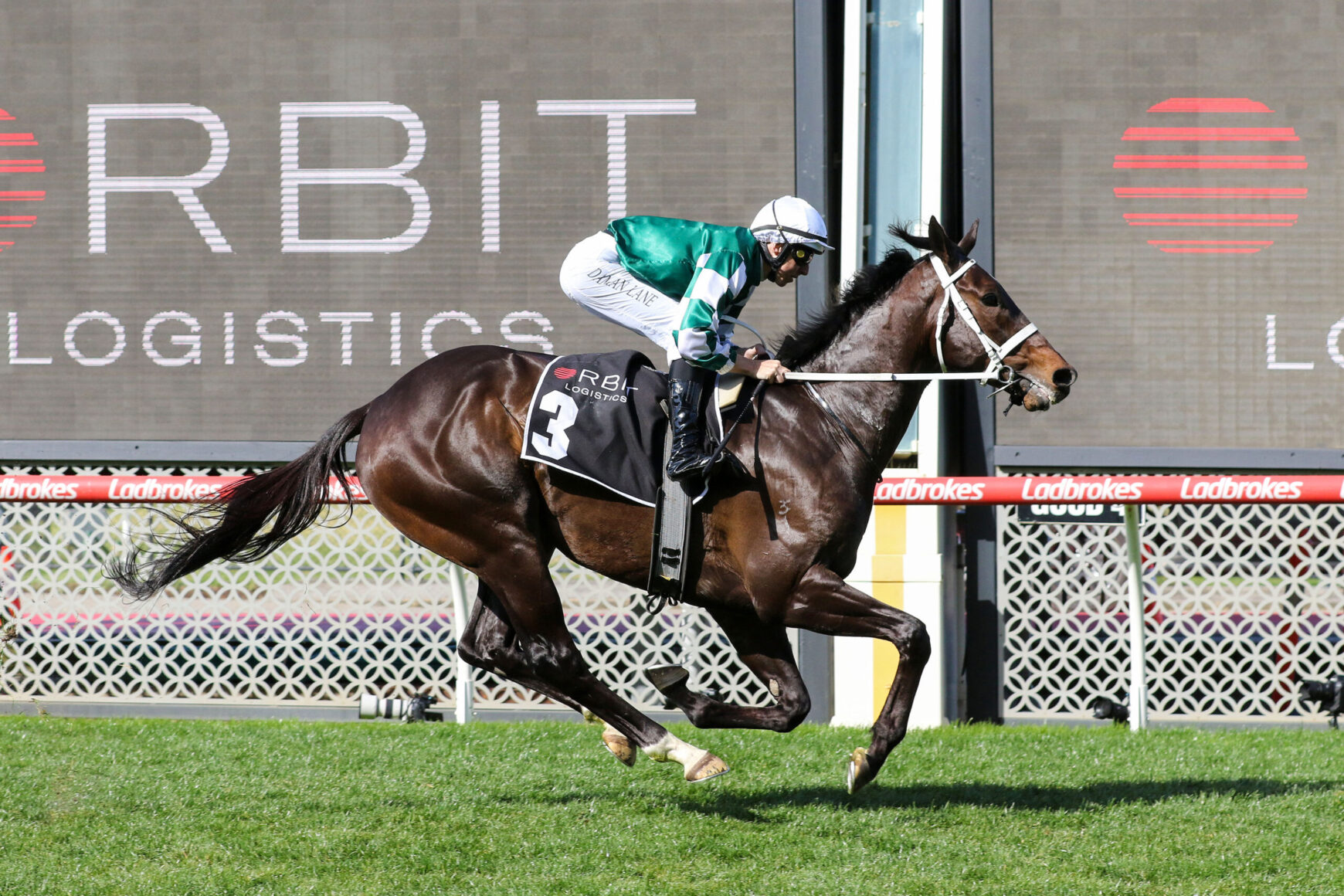 Horse and rider in mid-sprint on a racetrack; jockey in green-and-white silks sits forward atop a dark brown horse with a number 3 saddlecloth, Ladbrokes barrier in the background.