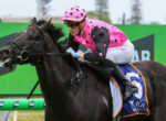 Jockey in pink polka-dot helmet and jersey riding a dark horse during a race