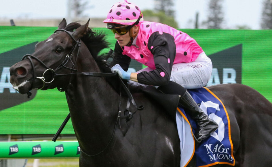 Jockey in pink polka-dot helmet and jersey riding a dark horse during a race
