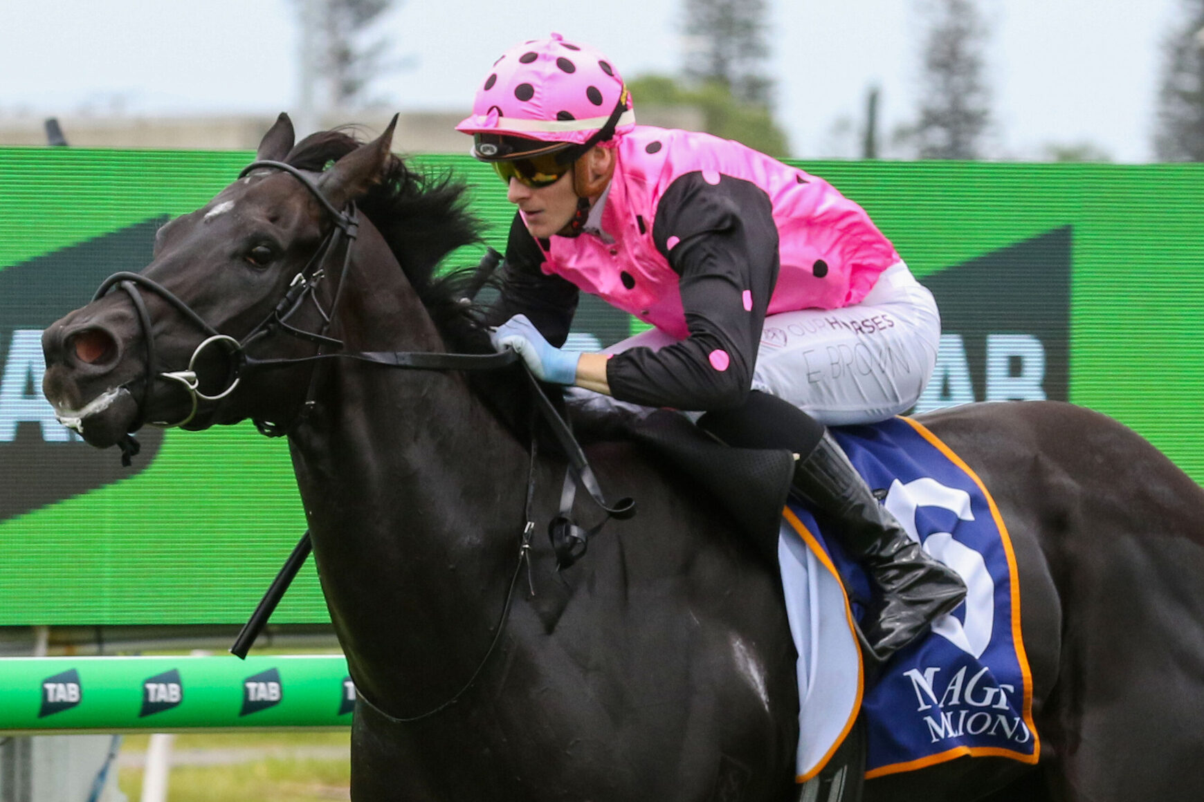 Jockey in pink polka-dot helmet and jersey riding a dark horse during a race