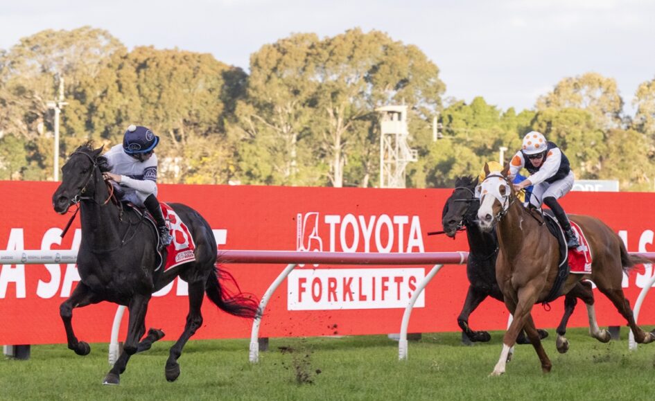 Two horses with jockeys race side by side on a turf track, red advertising boards in the background as they sprint toward the finish line.