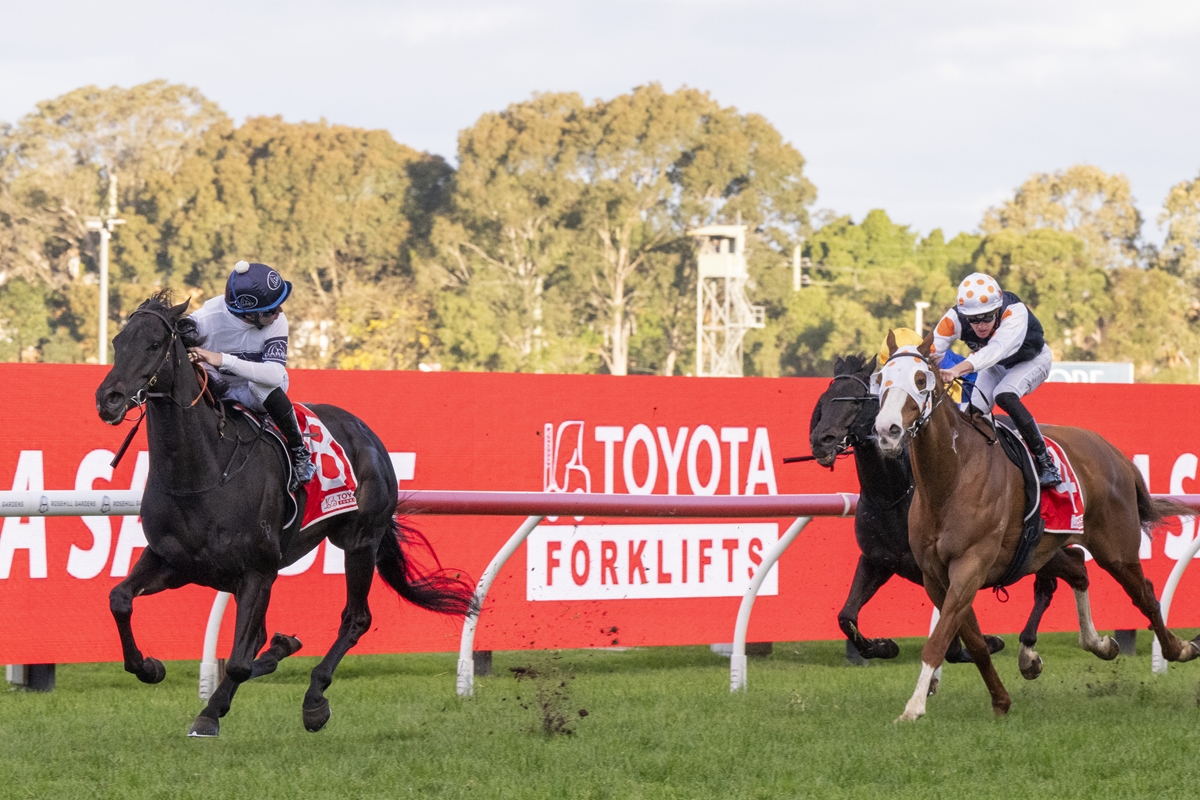 Two horses with jockeys race side by side on a turf track, red advertising boards in the background as they sprint toward the finish line.