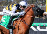 Jockey in white helmet and yellow-blue silks riding a brown horse mid-jump over a railing with green TAB banners nearby