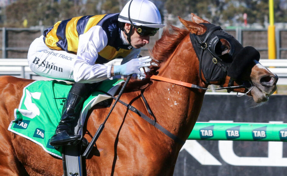 Jockey in white helmet and yellow-blue silks riding a brown horse mid-jump over a railing with green TAB banners nearby