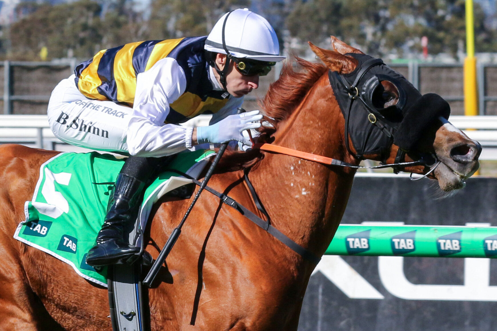 Jockey in white helmet and yellow-blue silks riding a brown horse mid-jump over a railing with green TAB banners nearby