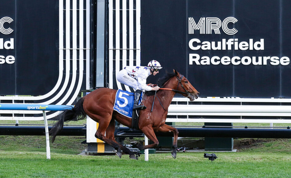 Jockey in white silks on a brown racehorse racing along the turf at Caulfield Racecourse with large signage in the background.