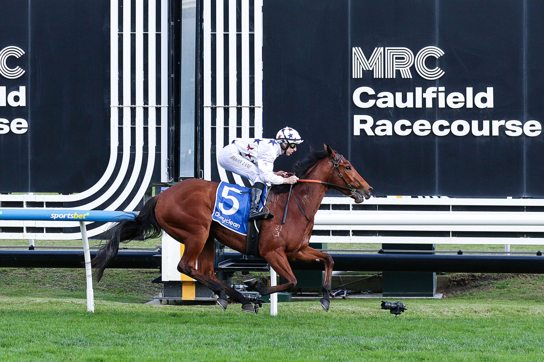 Jockey in white silks on a brown racehorse racing along the turf at Caulfield Racecourse with large signage in the background.
