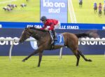 Jockey in red silks rides a galloping brown horse with blue saddlecloth number 7 on a green turf racecourse, advertiser boards in the background.
