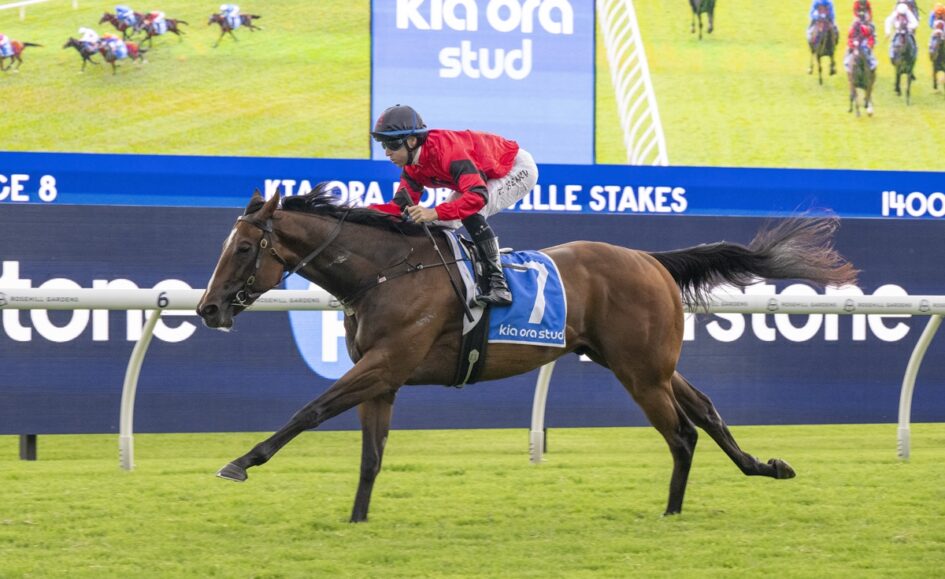Jockey in red silks rides a galloping brown horse with blue saddlecloth number 7 on a green turf racecourse, advertiser boards in the background.
