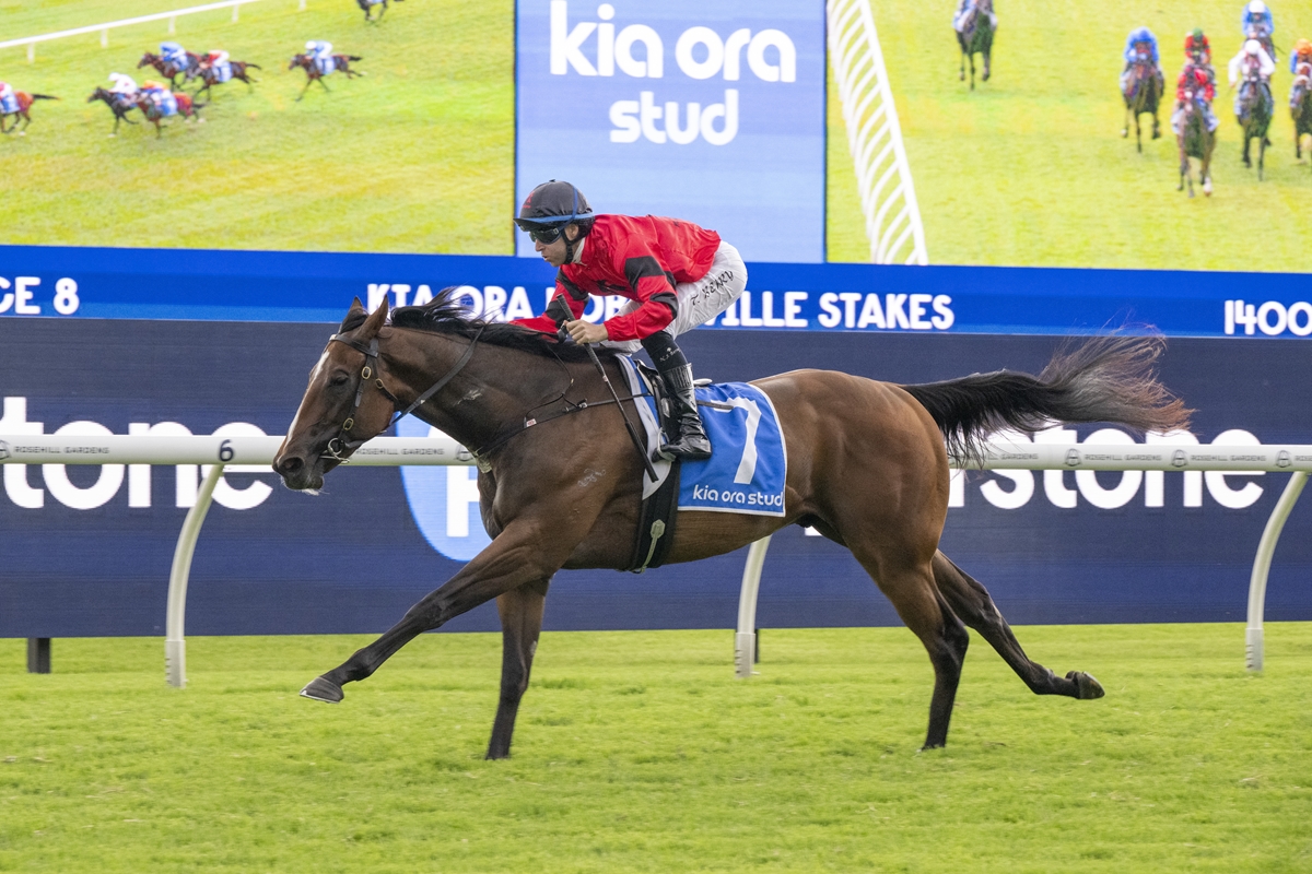 Jockey in red silks rides a galloping brown horse with blue saddlecloth number 7 on a green turf racecourse, advertiser boards in the background.