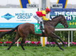 Jockey wearing red and yellow silks rides a brown horse with a green number 14 saddle cloth on a racetrack.