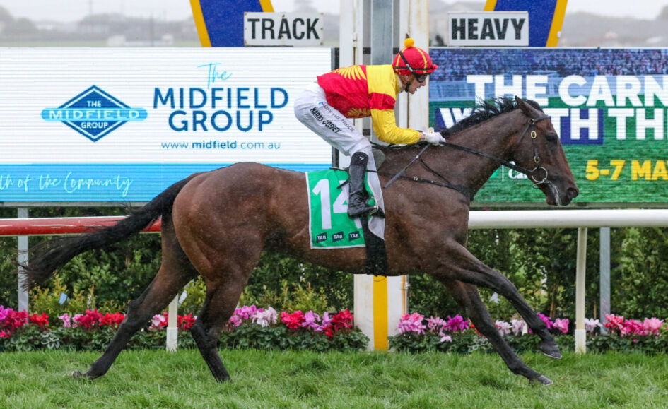 Jockey wearing red and yellow silks rides a brown horse with a green number 14 saddle cloth on a racetrack.