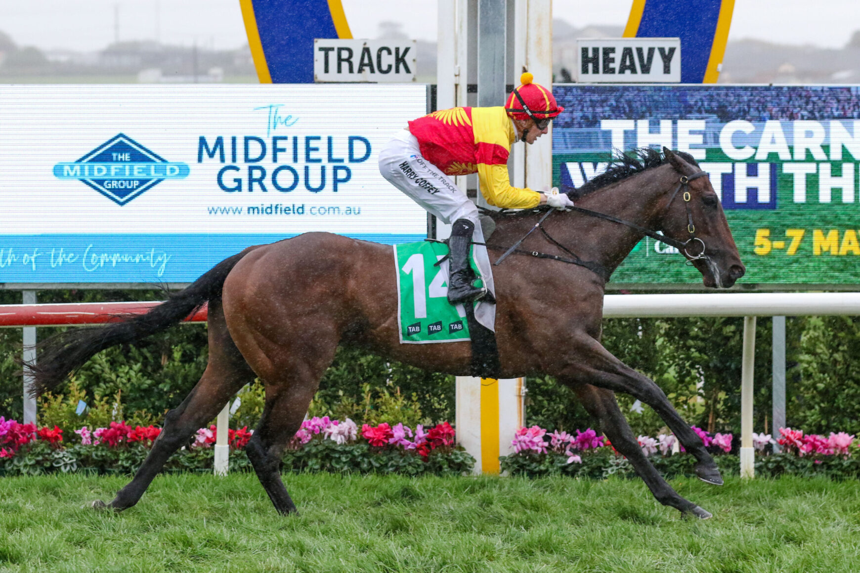 Jockey wearing red and yellow silks rides a brown horse with a green number 14 saddle cloth on a racetrack.