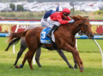 Jockey in red silks on a chestnut horse leading a close race on a grassy turf with blue saddlecloth 3 and rail in background.