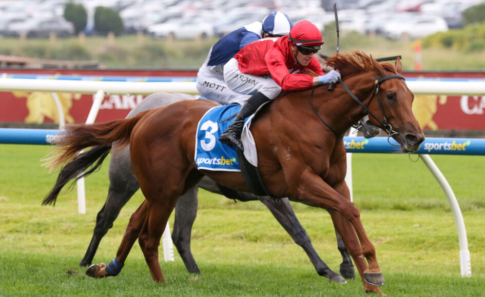 Jockey in red silks on a chestnut horse leading a close race on a grassy turf with blue saddlecloth 3 and rail in background.