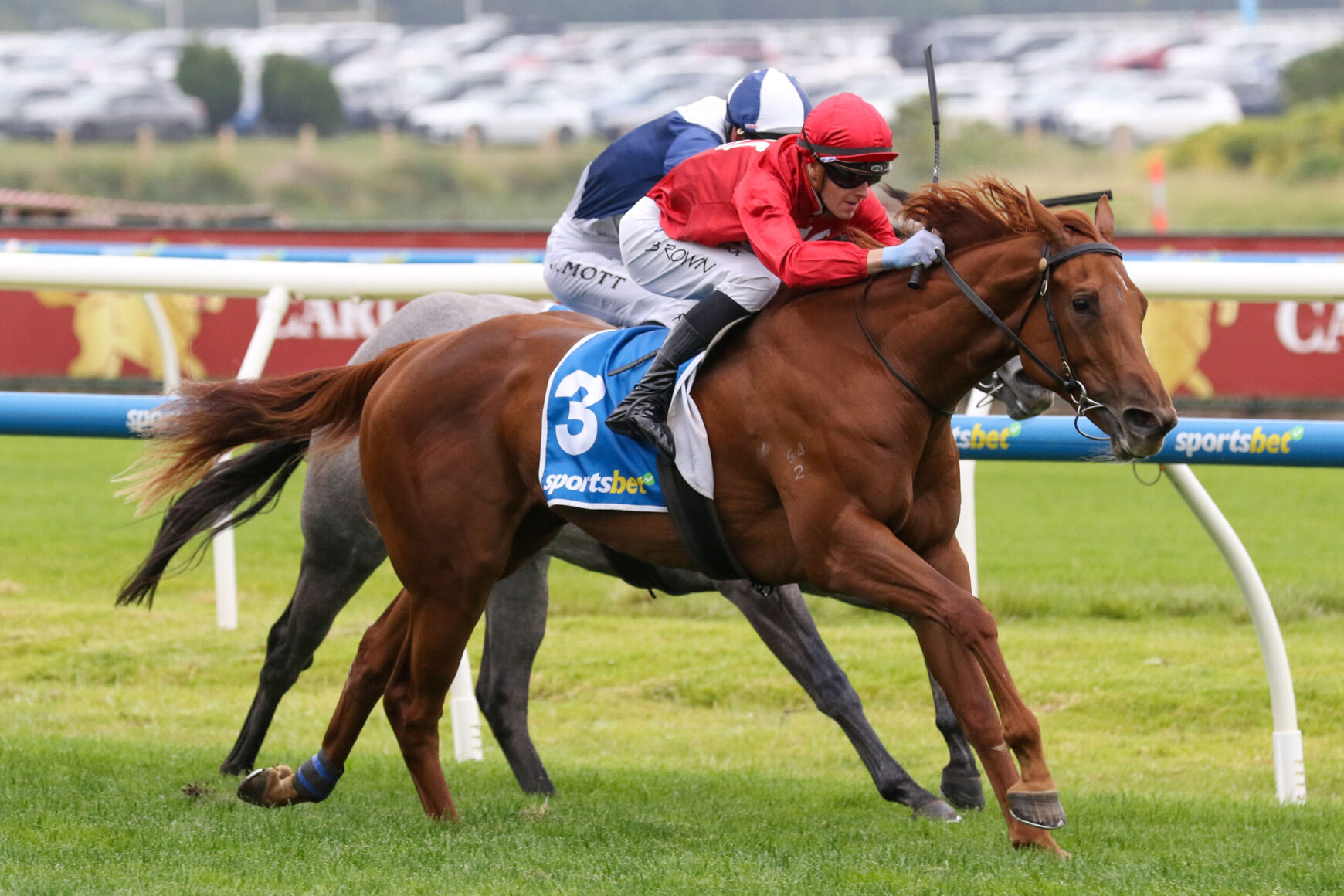 Jockey in red silks on a chestnut horse leading a close race on a grassy turf with blue saddlecloth 3 and rail in background.