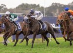 Jockeys and racehorses sprinting on a grassy track during a crowded race, with riders leaning forward as they race side by side.