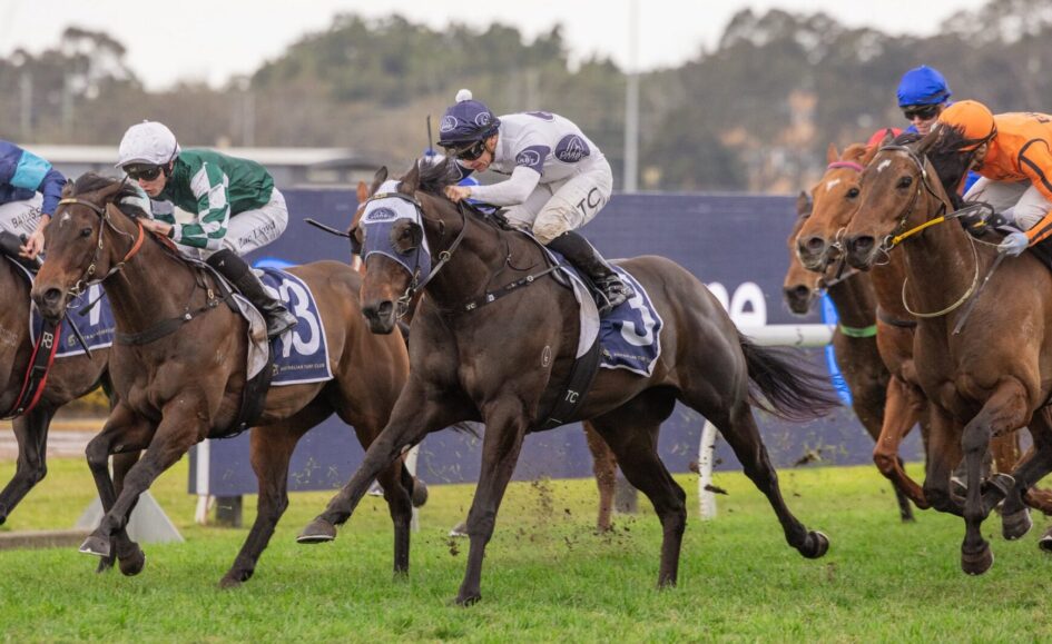Jockeys and racehorses sprinting on a grassy track during a crowded race, with riders leaning forward as they race side by side.