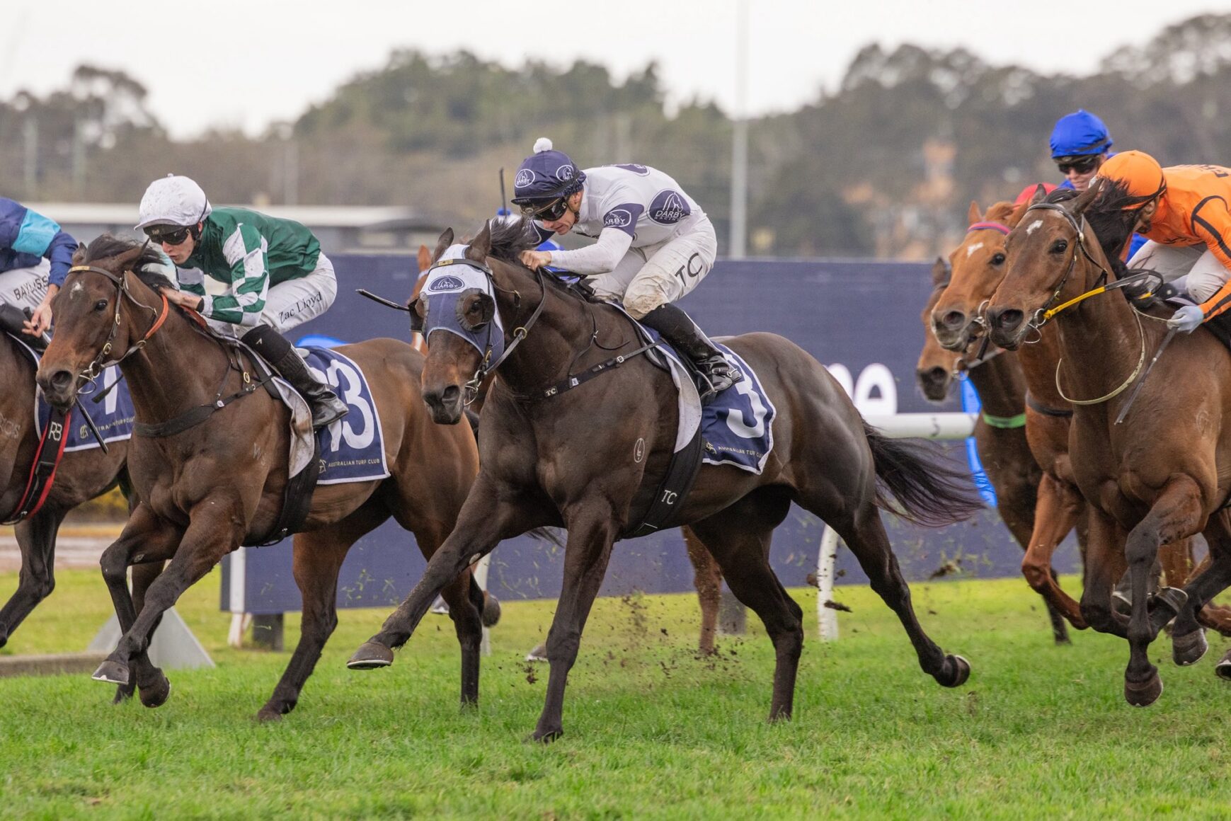 Jockeys and racehorses sprinting on a grassy track during a crowded race, with riders leaning forward as they race side by side.