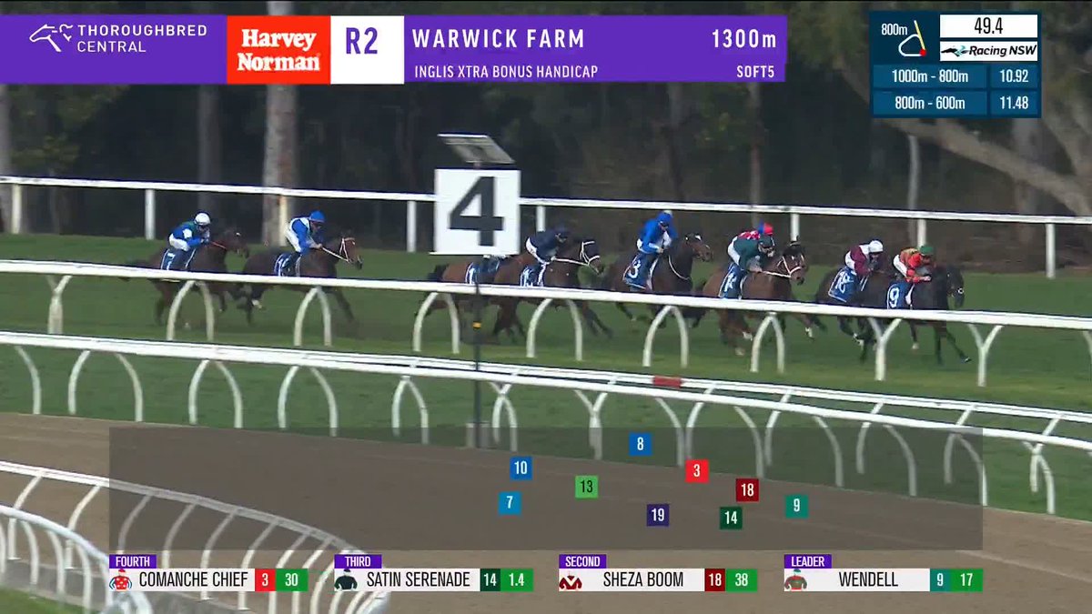 Horse race in progress at Warwick Farm; group of galloping horses on track near the white rail with a large '4' marker visible; betting overlays at bottom show odds and riders' colors.
