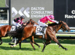 Jockeys and horses sprint toward the finish line on a sunny racecourse, pink/black silks visible against a large Dalyton Consulting Engineers sign in the background.