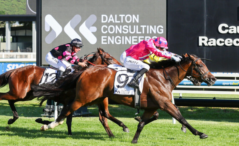 Jockeys and horses sprint toward the finish line on a sunny racecourse, pink/black silks visible against a large Dalyton Consulting Engineers sign in the background.