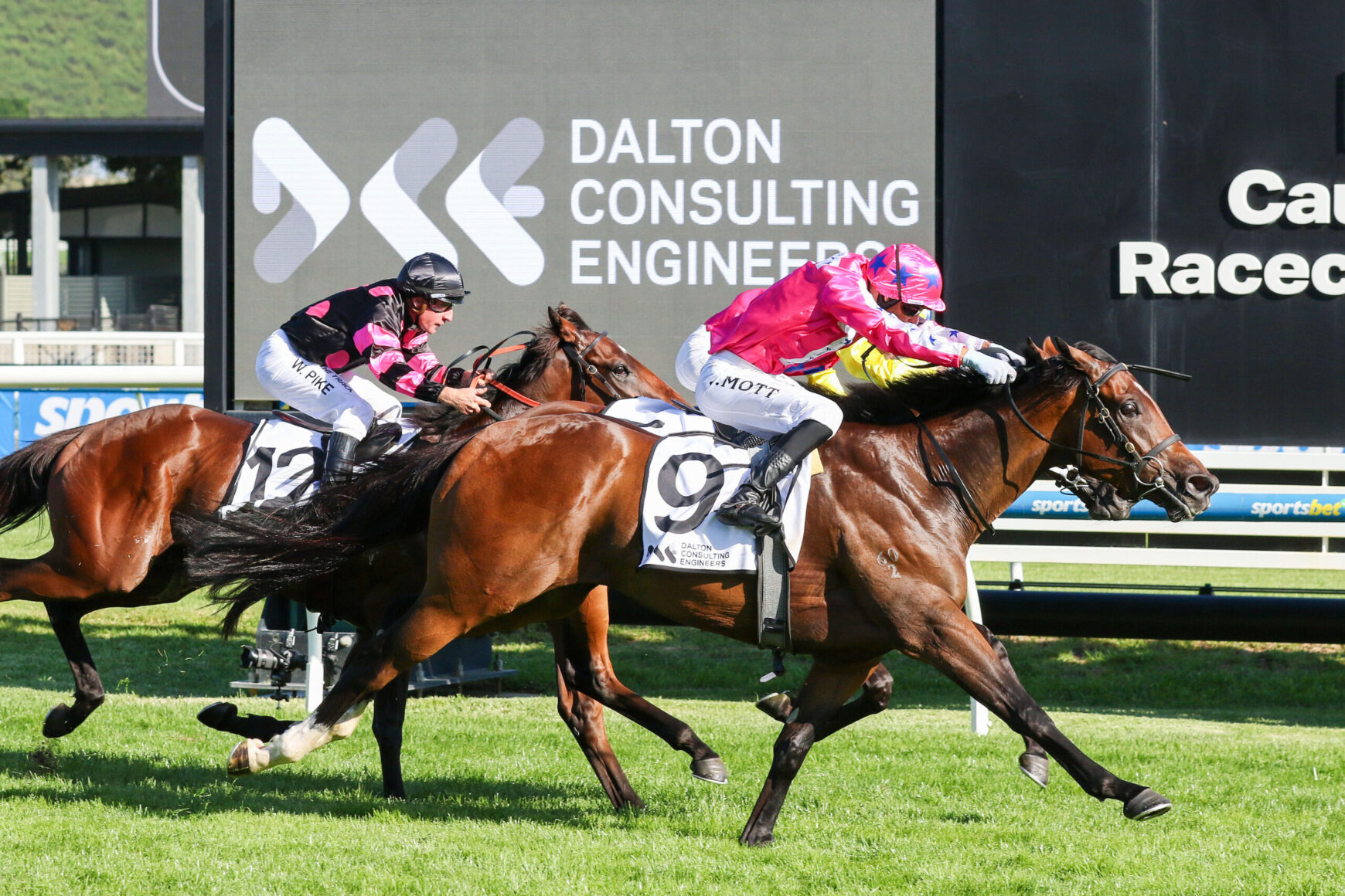 Jockeys and horses sprint toward the finish line on a sunny racecourse, pink/black silks visible against a large Dalyton Consulting Engineers sign in the background.