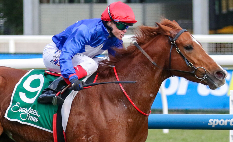 Jockey in blue silks and red helmet riding a chestnut horse during a race, green saddlecloth visible on the hindquarters.