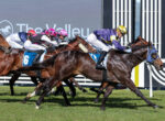 Thoroughbred horses sprinting down the track with jockeys in colorful silks during a race on a grassy infield.