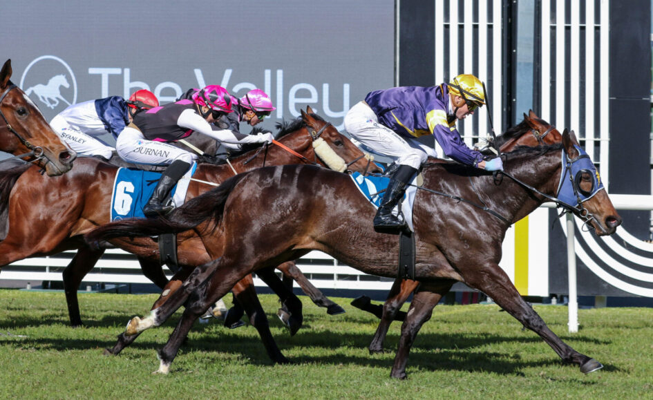 Thoroughbred horses sprinting down the track with jockeys in colorful silks during a race on a grassy infield.