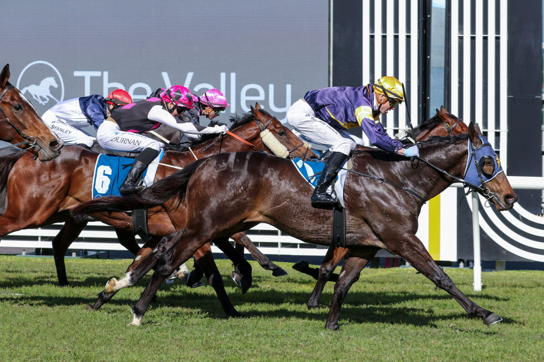 Thoroughbred horses sprinting down the track with jockeys in colorful silks during a race on a grassy infield.