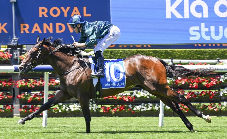 Jockey in teal and plaid shirt riding a brown racehorse jumping over a hurdle, number 10 cloth visible, on a bright green track with blue advertising in the background.