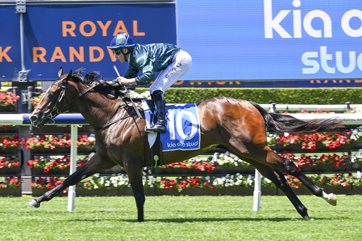Jockey in teal and plaid shirt riding a brown racehorse jumping over a hurdle, number 10 cloth visible, on a bright green track with blue advertising in the background.