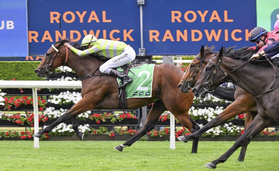 Horse race in progress at Royal Randwick; lead brown horse with green number 2 saddlecloth, rider in lime-green and white silks, other horses close behind against a backdrop that says ROYAL RANDWICK.