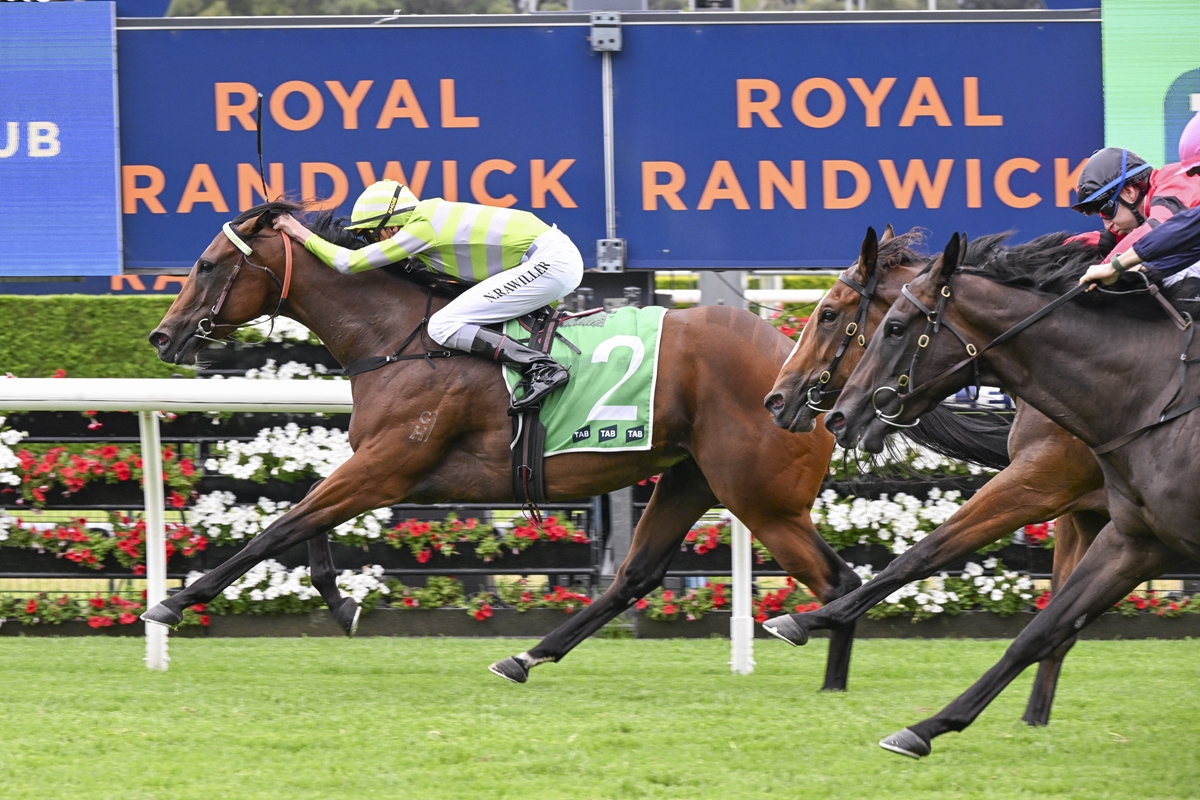 Horse race in progress at Royal Randwick; lead brown horse with green number 2 saddlecloth, rider in lime-green and white silks, other horses close behind against a backdrop that says ROYAL RANDWICK.