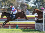 Jockey in red, white, and blue silks rides a dark brown horse as they leap over a hurdle during a race.