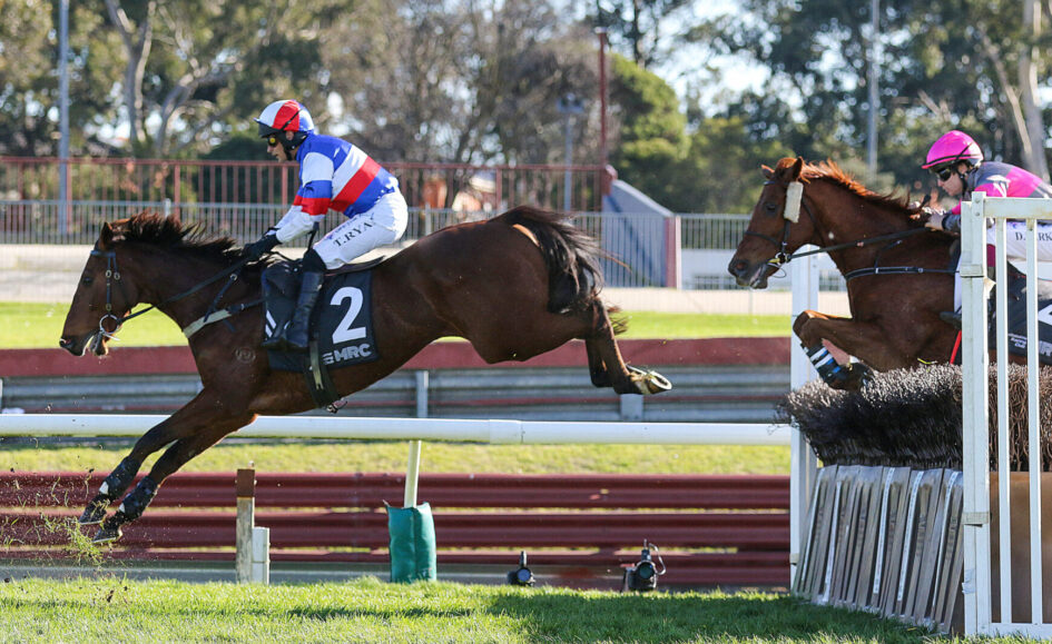 Jockey in red, white, and blue silks rides a dark brown horse as they leap over a hurdle during a race.