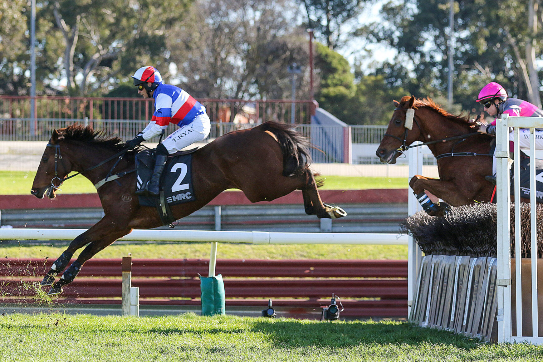 Jockey in red, white, and blue silks rides a dark brown horse as they leap over a hurdle during a race.