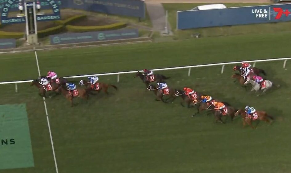 Group of galloping racehorses with jockeys in colorful silks racing along a green turf track near the rail.