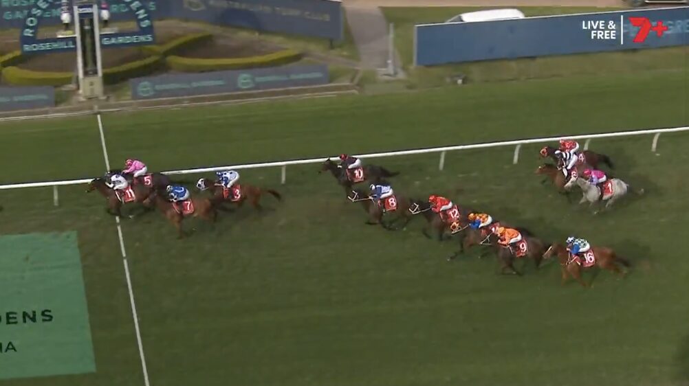 Group of galloping racehorses with jockeys in colorful silks racing along a green turf track near the rail.