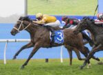 Leading brown horse wearing blue saddlecloth #3 with a yellow-silks rider pauses mid-gallop on a grassy turf, chasing rival racers behind.