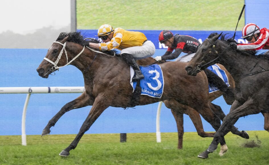 Leading brown horse wearing blue saddlecloth #3 with a yellow-silks rider pauses mid-gallop on a grassy turf, chasing rival racers behind.
