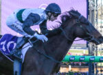 Jockey in blue silks and helmet riding a dark horse over a hurdle at a race track, purple sponsor banner in background.