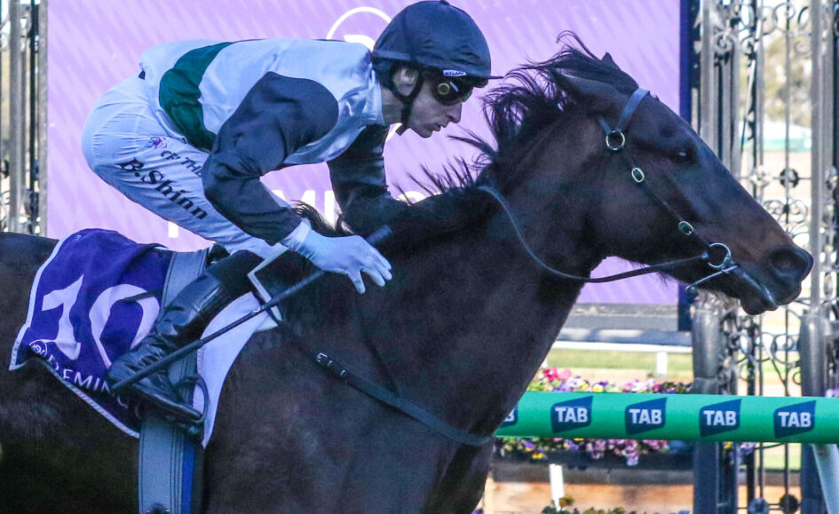 Jockey in blue silks and helmet riding a dark horse over a hurdle at a race track, purple sponsor banner in background.