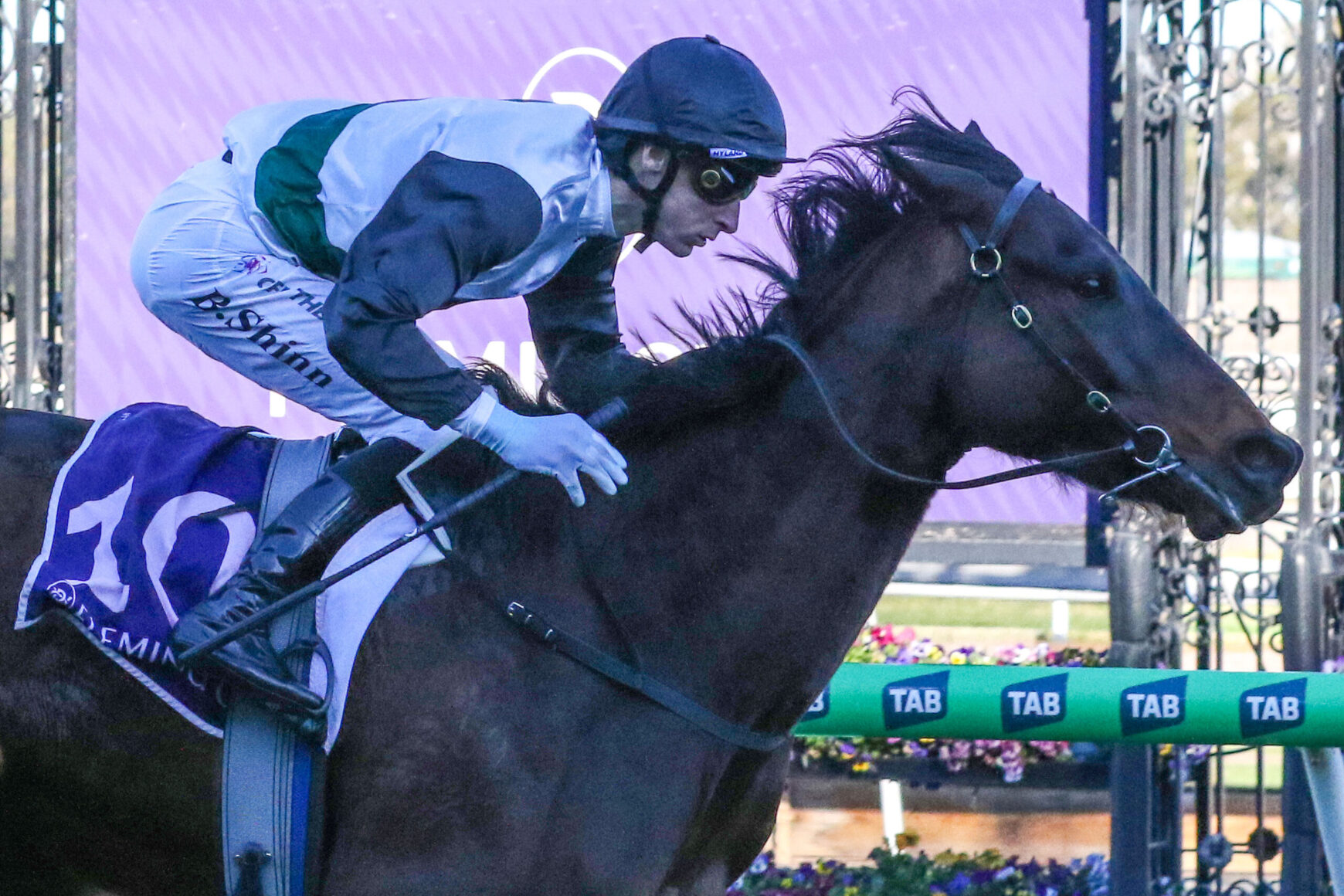 Jockey in blue silks and helmet riding a dark horse over a hurdle at a race track, purple sponsor banner in background.