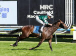 Jockey in green-and-white silks rides a dark brown racehorse at Caulfield Racecourse during a race in progress.