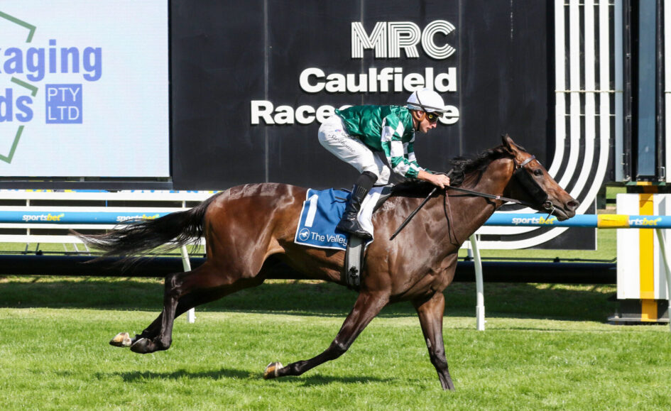 Jockey in green-and-white silks rides a dark brown racehorse at Caulfield Racecourse during a race in progress.