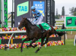 Jockey in blue silks riding a dark horse over a hurdle at a TAB-sponsored horse race with colorful flowers nearby.